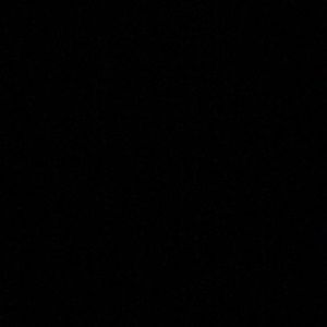 Meet your Posher, Connor